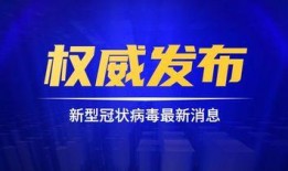 红沙集团爆料案件最新,揭开企业内幕，探寻真相与正义