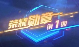 最新勋章爆料,荣誉与荣耀的全新诠释