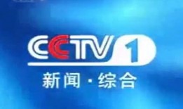 石狮电视台新闻爆料视频,重大新闻事件深度解析