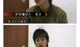 娱乐大爆料张瀚视频,娱乐大爆料背后的惊人真相