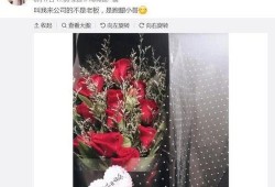 玫瑰恋情爆料热歌视频大全,热歌视频大全带你领略浪漫旋律