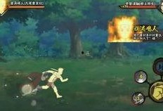 九尾狐鸣人爆料视频