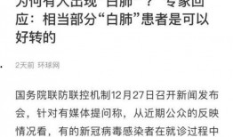 爆料真假对白视频,爆料视频真假难辨，白热化辩论引热议