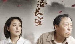 电视剧叶落长安在线观看,穿越千年，探寻长安古韵的传奇之旅