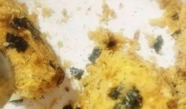 博主爆料饭里有虫子视频,食品安全引关注