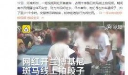 河南网红爆料新闻视频播放,河南网红爆料新闻视频引发热议