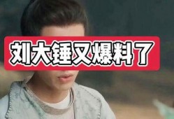 刘大锤最新爆料520,520背后的惊人真相！