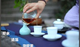 茶叶生活爆料视频,揭秘茶叶生活爆料视频背后的精彩瞬间