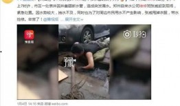 遂川爆料哥偷铁新闻,揭秘背后真相与反思