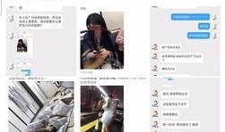 爆料雪莲的人是谁啊视频,真相背后的人物之谜