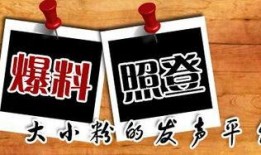 重庆新闻爆料平台,聚焦城市热点，揭秘幕后真相