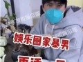 狗仔爆料娱乐圈暴力男,狗仔爆料揭开惊人真相