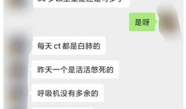 爆料真假对白视频,爆料视频真假难辨，白热化辩论引热议