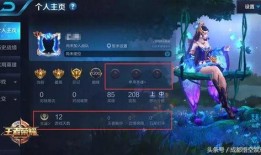 温柔王者爆料视频大全,视频大全中的暖心瞬间
