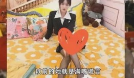 五十万网红被爆料视频,揭秘网络红人幕后真相