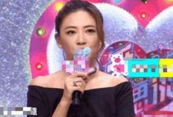 应采儿爆料娱乐圈