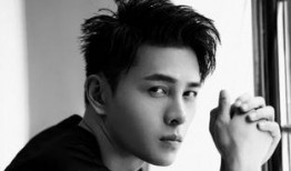 吴磊爆料张翰现状如何视频,张翰现状大起底，生活近况令人唏嘘
