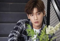 王玉雯恋情爆料了吗视频