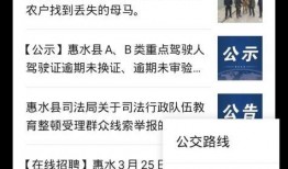 爆料公众号视频怎么做,揭秘幕后技巧与策略