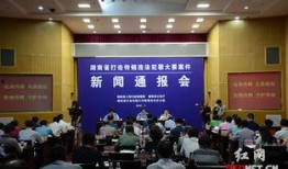 爆料传销新闻事件有哪些,真相与警示