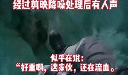 广州珠江爆料事件视频全集,揭秘真相与争议瞬间