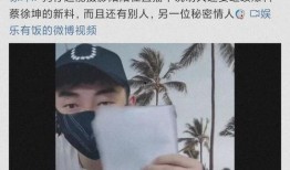 娱乐圈吃瓜全集pdf蔡徐坤,娱乐圈风云人物背后的故事