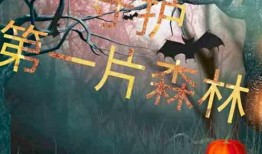 森林全集在线观看,在线观看，探索自然奥秘的奇幻之旅