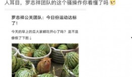 网红吃瓜用哪个网站,独家网站大揭秘