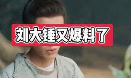 刘大锤的最新爆料,娱乐圈最新重磅爆料！