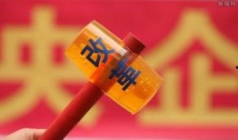 红河媒体爆料最新消息,最新热点事件深度解析
